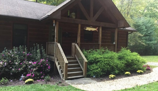 Nature's Delight in Robbinsville NC: Snowbird Creek, Dragon's Tail and Trout