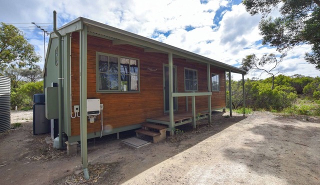 Nature's Embrace | The Pelican Cabin