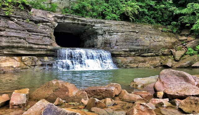 Nature's Great Escape! Perfect for families!