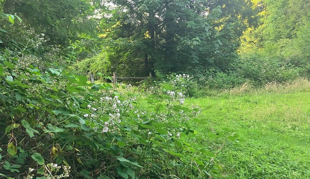 Nature's Paradise Camp Spot!