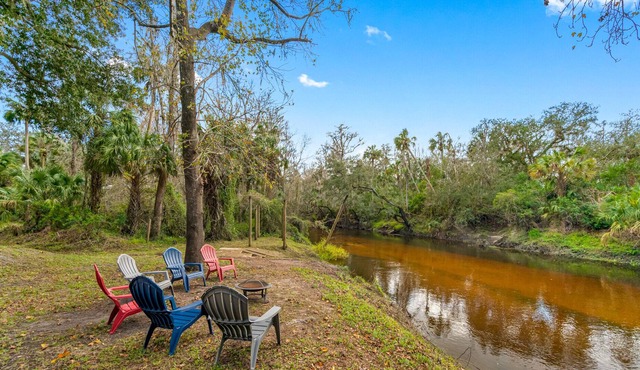 Nature's Paradise on the Alafia River