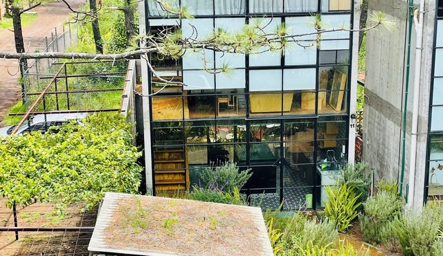 Nature/Safe/15min downtown