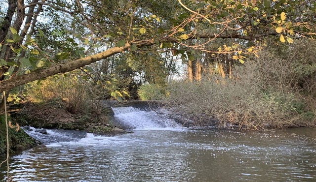 Nature stay in Banne: le Shed
