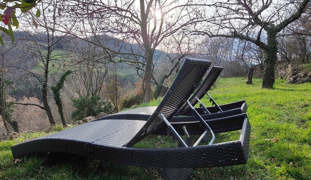 Nature studio, pets welcome