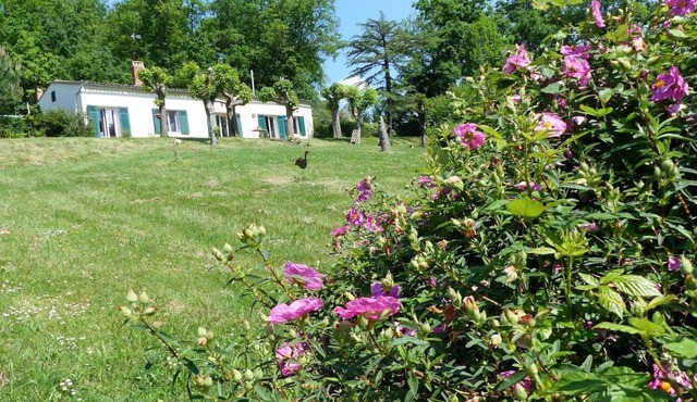 Nature, wine and culture .