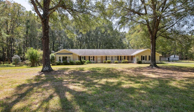 Nature’s Care: Home w/Pond, 16 Mi to Memphis!