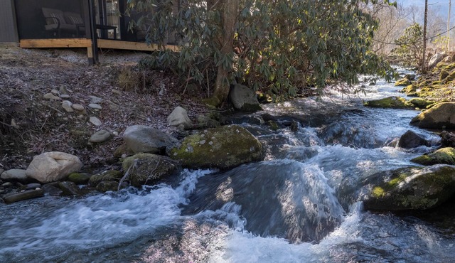 Natures Getaway -Pickleball Court, Creek, WIFI, Mountain Views, Starting at $79