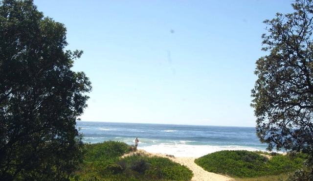 Natures Nest in Moruya Heads