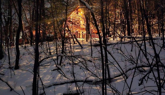 Natures retreat! Lakeside log cabin on 7 acres! Hike, Fish, Swim, Kayak, Spa!