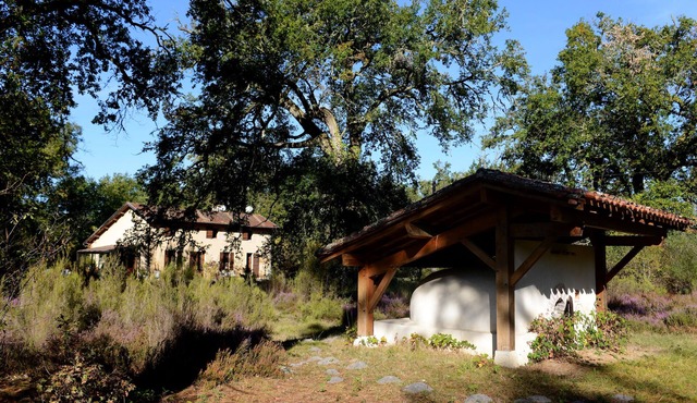 Naturism in the Landes forest