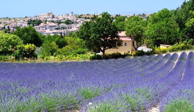 Naturist Camping Tikayan Petit Arlane * - COTTAGE 6 people