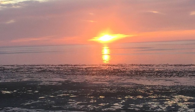 Nautilus Sands - The Ultimate Beachfront Holiday Home