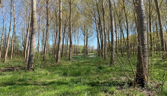 Navarinne" Landes farm with swimming pool and playground