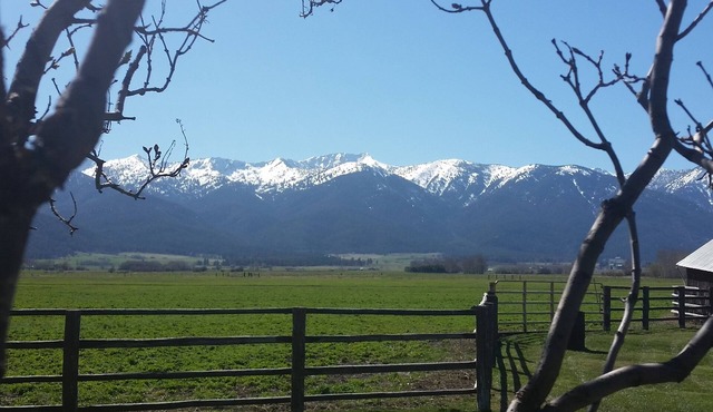 nCharming Vintage Farmhouse With Spectacular Views - sleeps up to 8