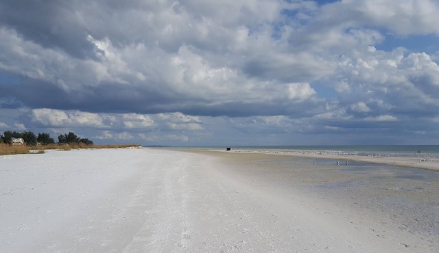 Near Anna Maria Island Beaches - Olympic-size pool!