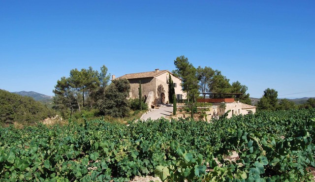 Near Barcelona, comfortable vacation apartment in country house surrounded by vineyards