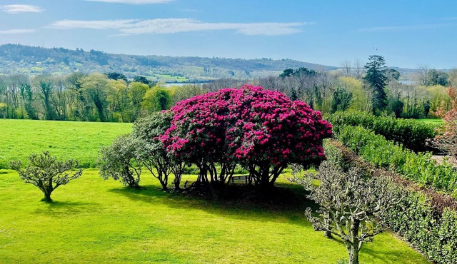 Near Brest quiet 2 Bedroom apartment with view