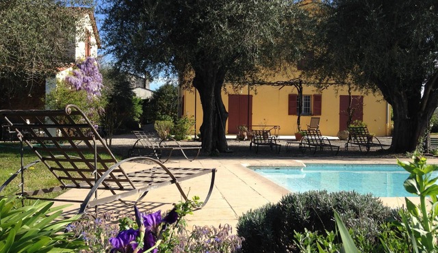 Near Cannes, authentic Bastide set in a garden planted with century-old olive trees