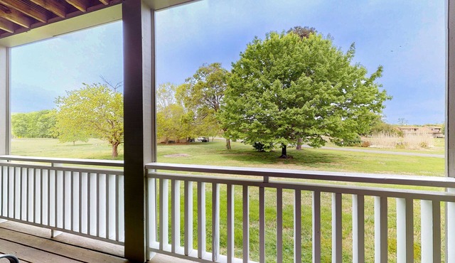 Near Douglas Lake, 1st Floor Studio, Dog Friendly