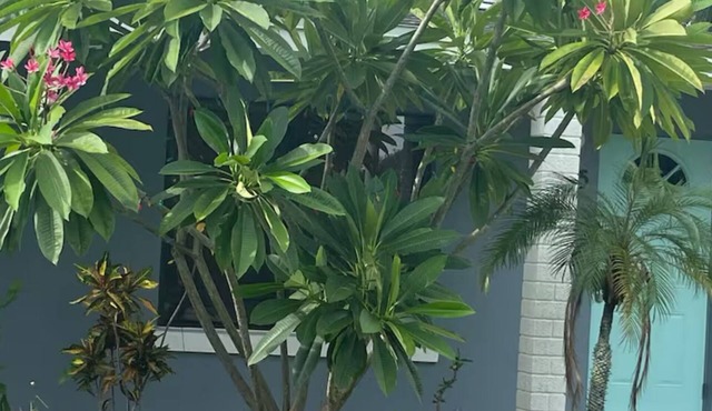 Near downtown