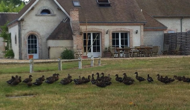 near Loire valley very comfortable house in front of a private river, calm place
