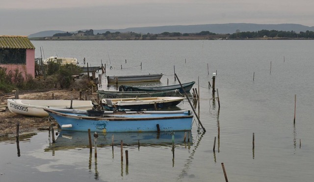 Near Montpellier 2-room apartment + private garden 15 minutes from the beach