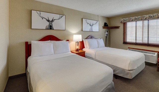 Near Mississippi River, Deluxe 2 Double, Stoney Creek Galena | 2 Units
