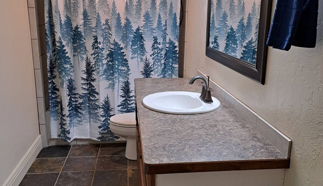 Near Mt. Loafer a walk out basement. Room for 5-7 people to come and relax.