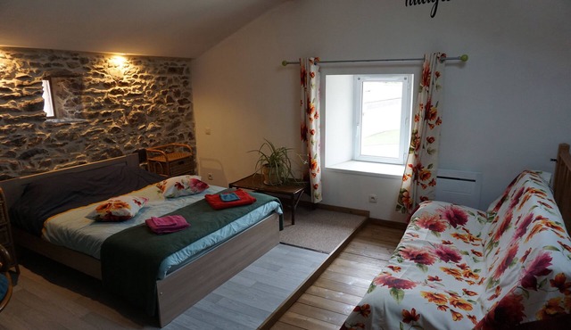 Near Nantes/airport: Charming rustic house