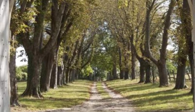 Near Niort: 16th Century Renaissance Castle (classified Ismh)
