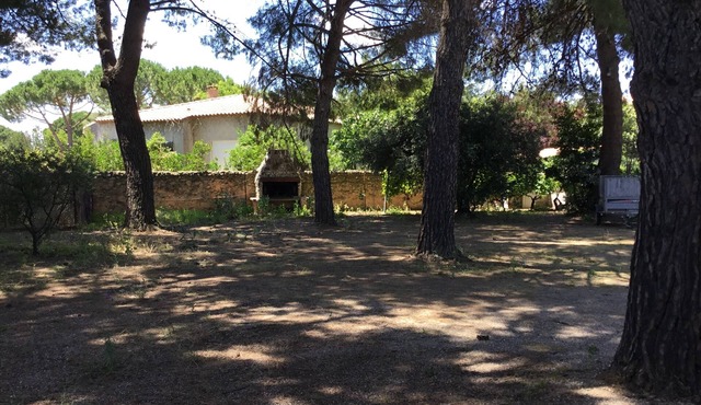 Near pezenas gite Ground floor of a villa, with large private pine garden.