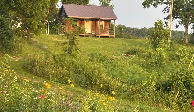 Near Red River Gorge, Rock Climbing, Hiking Trails