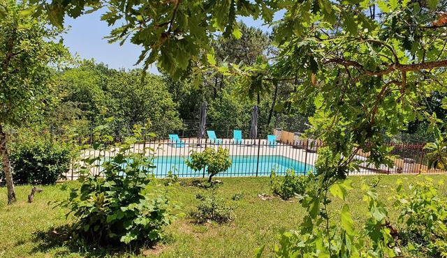 NEAR SARLAT Gîte 3* for 10 persons LA GRANDE SALAMANDRE with SWIMMING POOL
