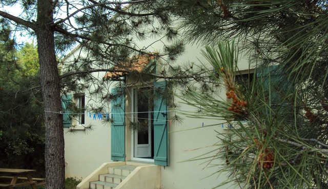 Near Sea and Mountain