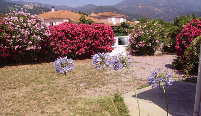 near the beach Mini sunny Villa in a quiet campaign