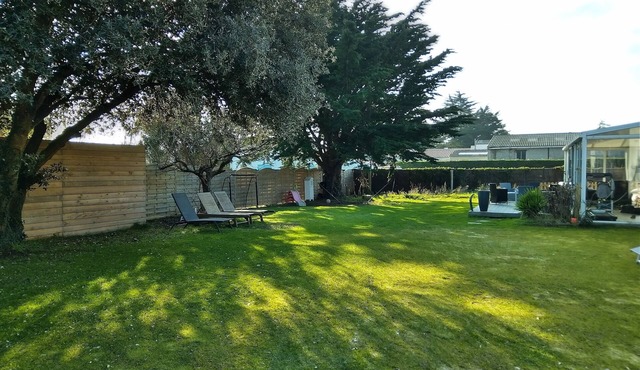 Near the harbor and the beach .