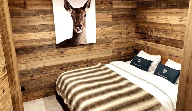 Near the Snowfront Modern Apartment