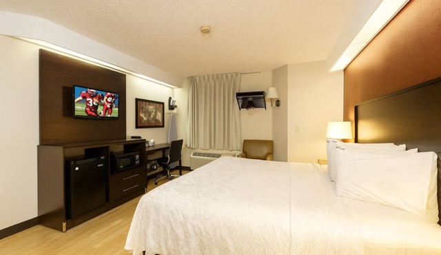 Near Washington Oaks Gardens - 3 Deluxe Units w/Free Parking and Pool Access!