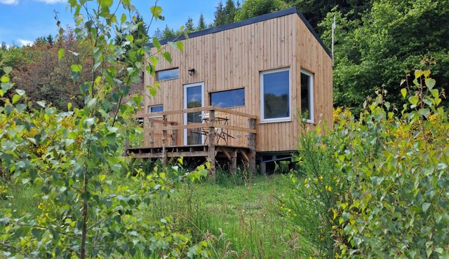 Nebula - Land of oyali