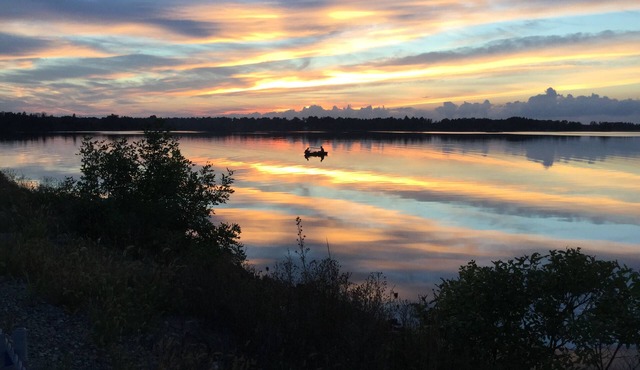 Necedah 2 Bdrm Vacation Cabin 5 Mins to Castle Rock Lake & Near Wisconsin Dells