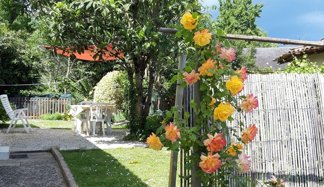 "NÉFLIER" in the Dordogne, between Saint-Émilion and Aubeterre-sur-dronne