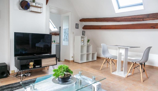 Nemours Le Tanneurs - Vue Château