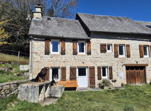 NESST - Gîte Horse & Dog Friendly Cottage