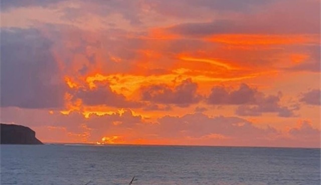 Nest 4 TwonOmapere/Opononi/Northland