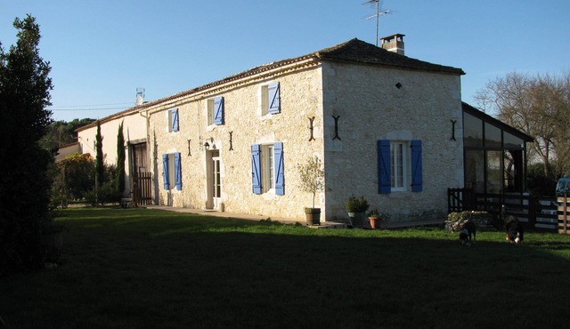 Nest at the end of the village