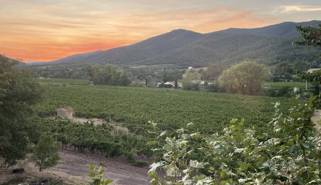 Nest close to the beaches in the heart of the Maures massif