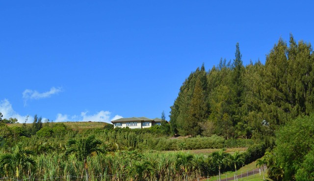 Nestle Into Your Private Cottage After a Busy Day. Enjoy the Hottub - Permitted