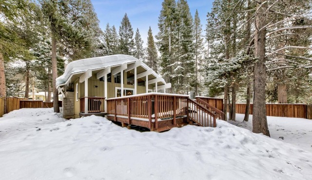Nestled Among the Tall Pine, 3 bedrooms, hot tub, come play in the mountains.