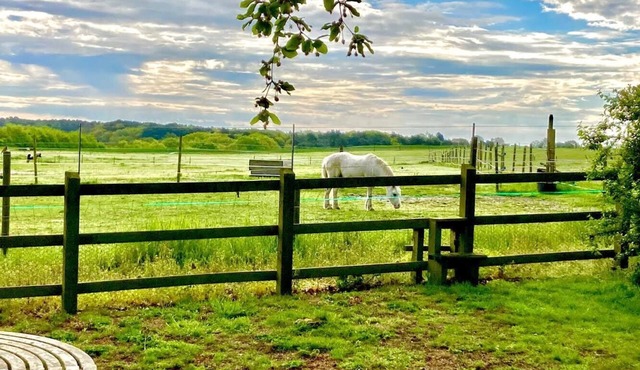 Nestled between Southwold and Walberswick- The Nest