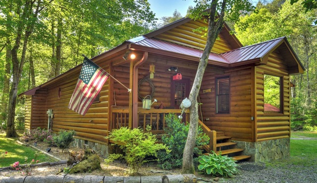 Nestled by the babbling creek, Creekside Hideaway warmly welcomes pets, offering a hot tub, over-sized screened porch with TV, firepit, and WiFi